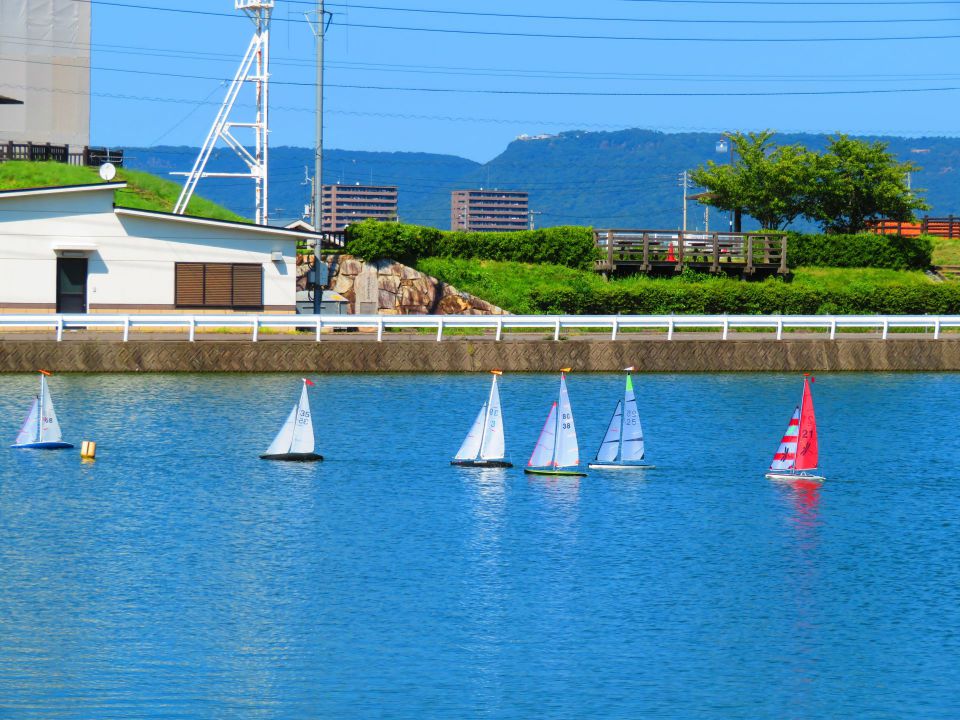 海の魅力を楽しむ：大阪でのダイビング体験