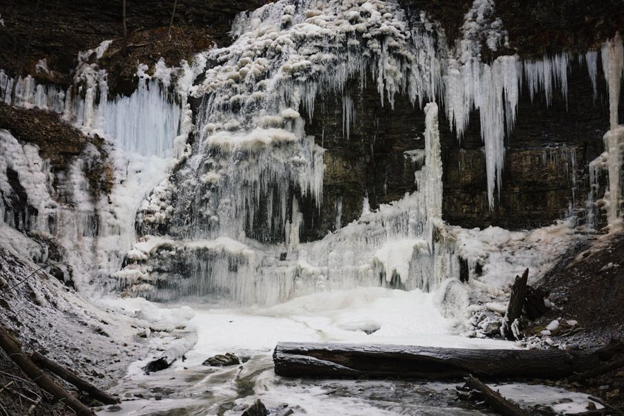 大阪周辺の水中世界満喫